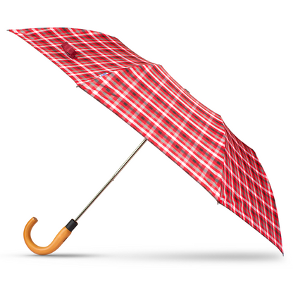 Best umbrellas in India 