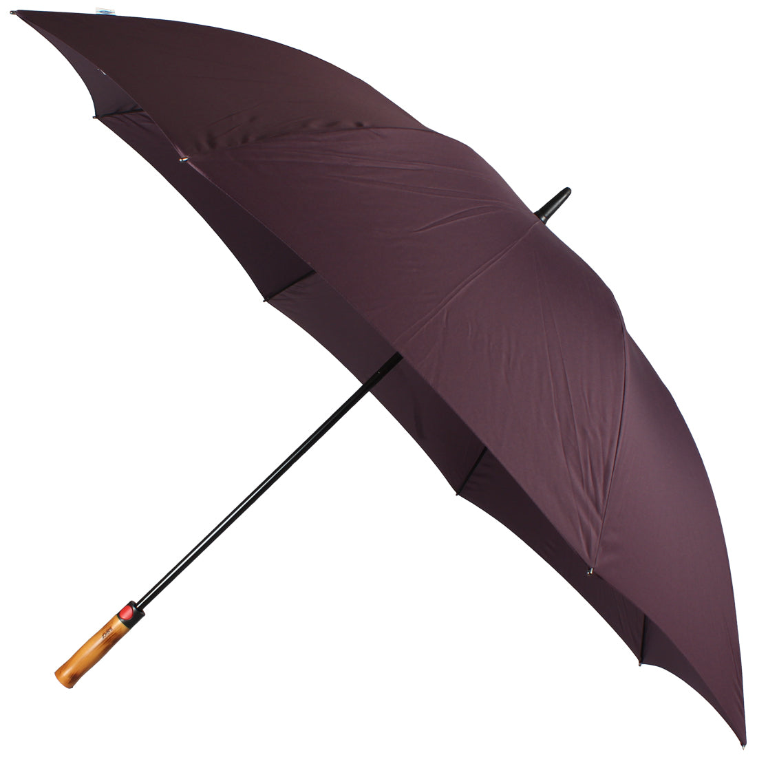 Best golf umbrella 