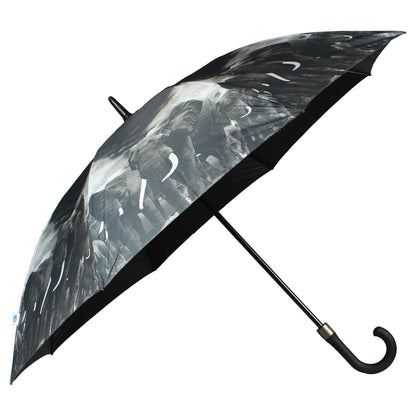 Best windproof umbrella 