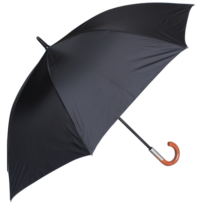 Black umbrella 