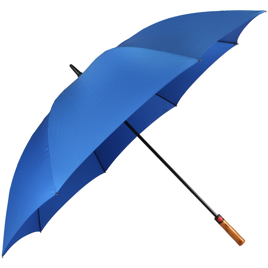 Blue Umbrella 