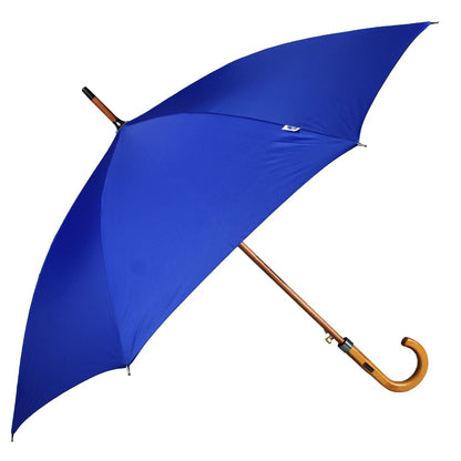 Blue umbrella 