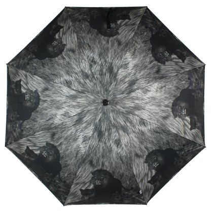 long printed umbrella 