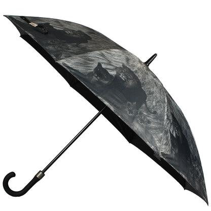 long umbrella price 