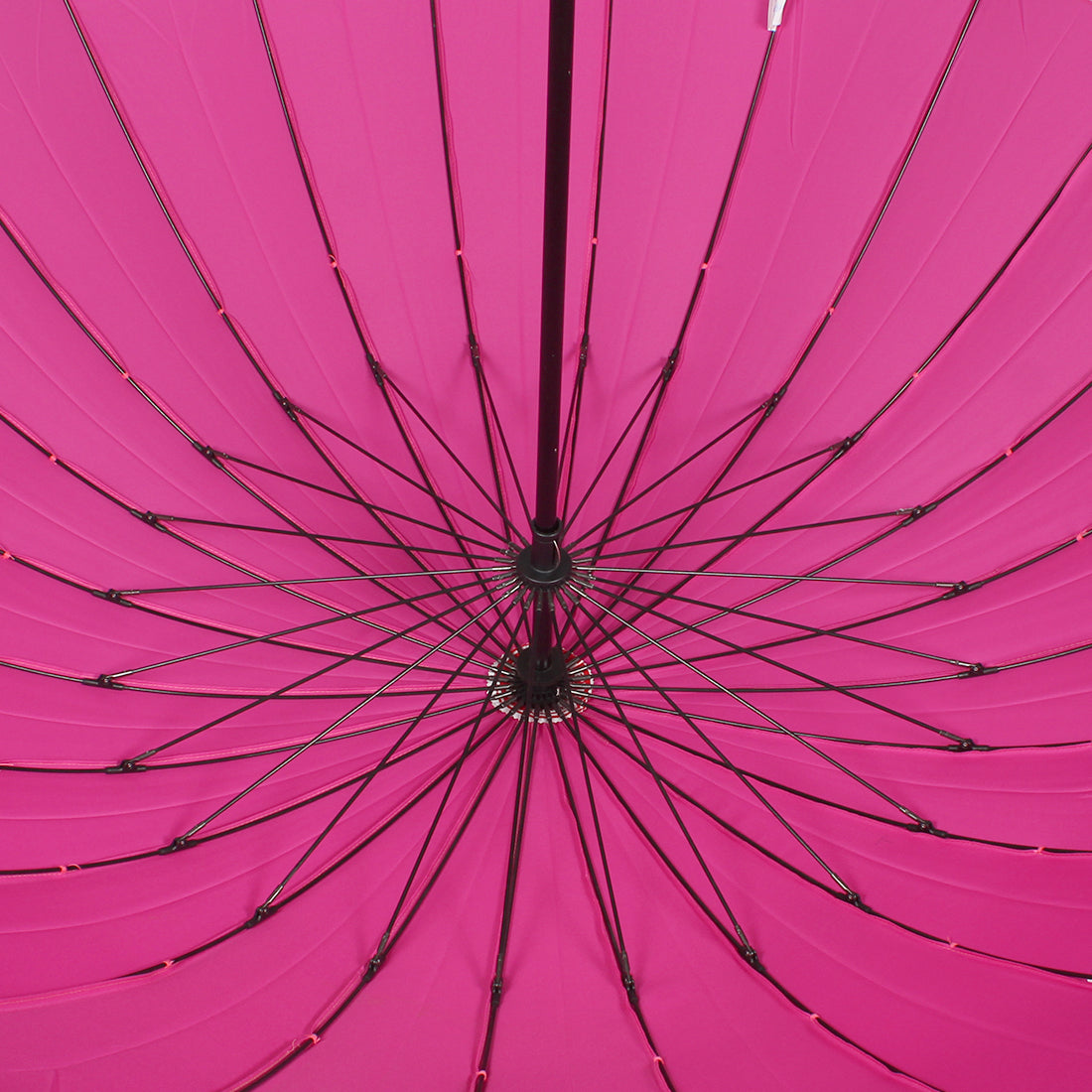 parasols pink fashion